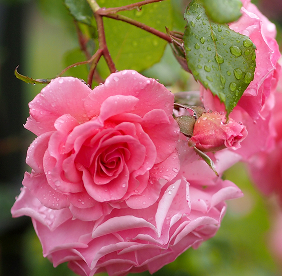 do0eocug2x43gyjon9qsz3044bvpk4hm