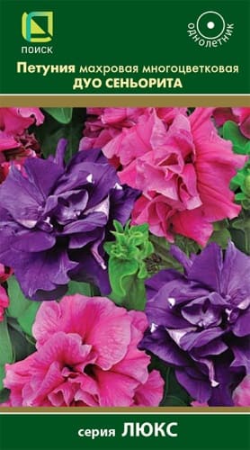 petunia_mahrov_mnogocvet_duo_seniorita (1)