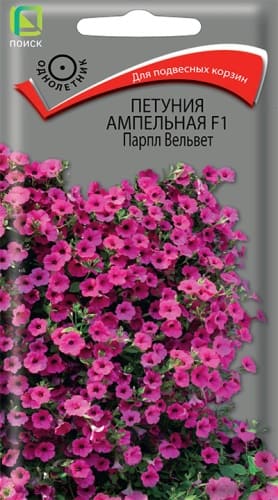 petunia_ampel_f1_purple_velvet (1)