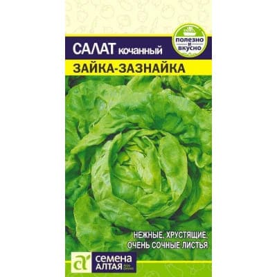 зз (1)