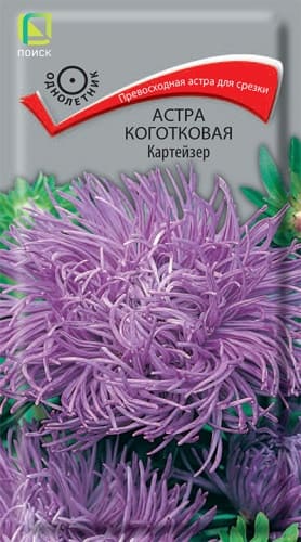 astra_kogotkovaya_karteizer (1)