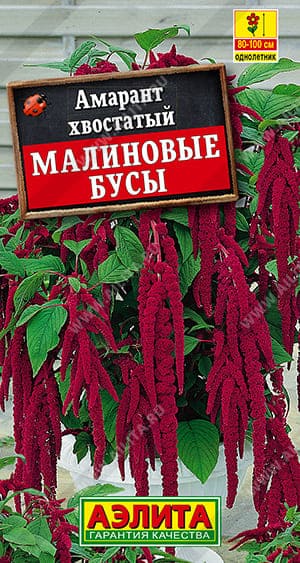 мб (1) (1)