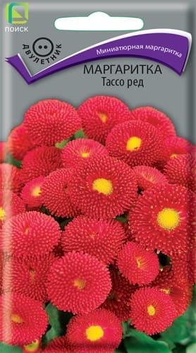 margaritka_tasso_red (1)