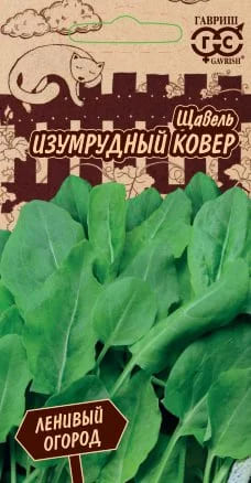 Щавель Изумрудный ковер