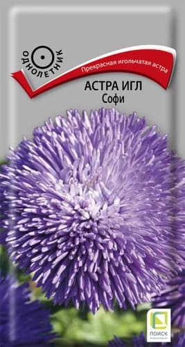 astra_igl_sofi (1)