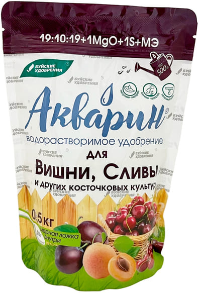 вишня (1)