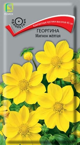georgina_mignon_zheltaya (1)
