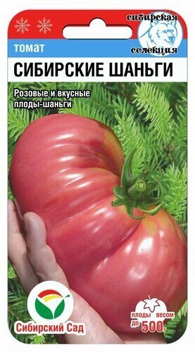 wv5u0e65zcy5iq53uo03lbk4fz4we8sd