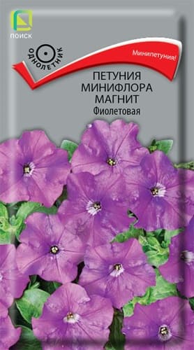 petunia_miniflora_magnit_fioletovaya (1)