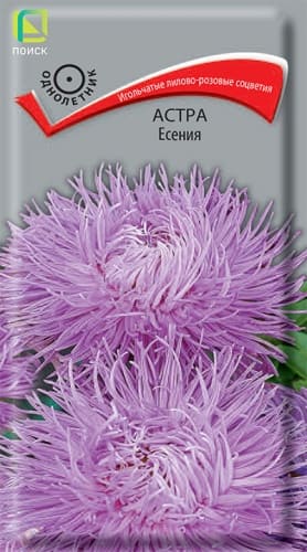 astra_eseniya (1)