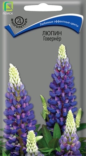 lupin_gowerner (1)