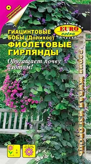 Бобы гиацинтовые Фиолетовые гирлянды (1гр)