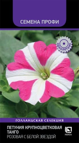 petunia_krupnocvet_tango_rozovaya_s_beloi_zvezdoi (1)