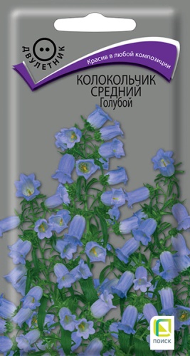 kolokolchik_sredny_goluboy