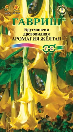 Бругмансия Аромагия Желтая