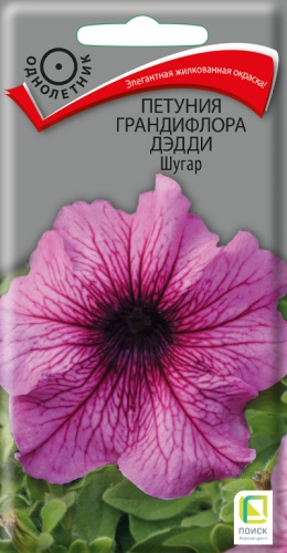 petunia_grandiflora_daddy_sugar
