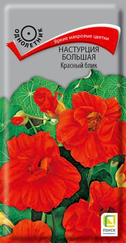 nastrucia_bolshaya_krasny_blik