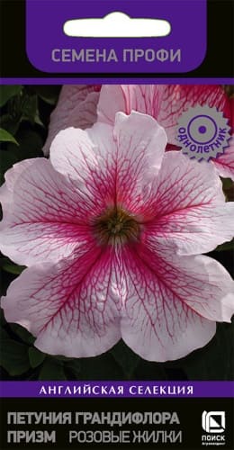petunia_grandiflora_prizm_rozovie_zhilki (1)