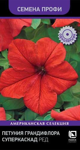 petunia_grandiflora_superkaskad_red