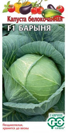 Капуста белокочанная Барыня
