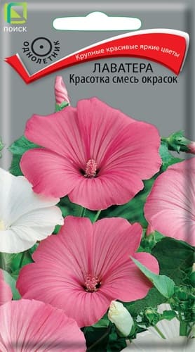 lavatera_krasotka_smes_okrasok (1)
