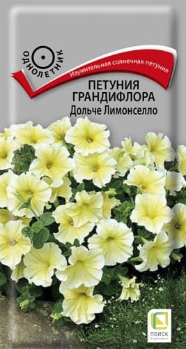 petunia_grandiflora_dolce_limonsello (1)