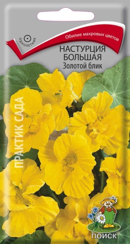 nastrucia_bolshaya_zolotoy_blik