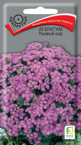 ageratum_rozovy_shar
