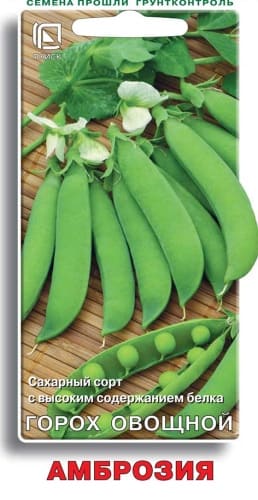 goroh_ovoshchnoi_ambrozia (1)