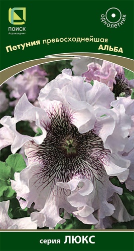 petunia_prevoshodneyshaya_alba