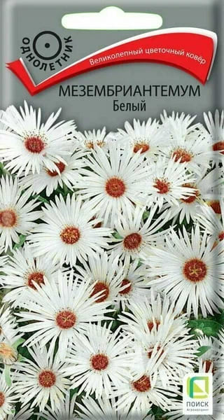 мб