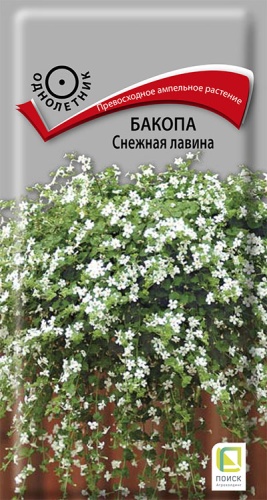 bakopa_snezhnaya_lavina