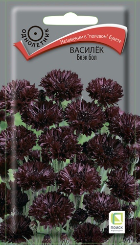 vasilek_black_ball