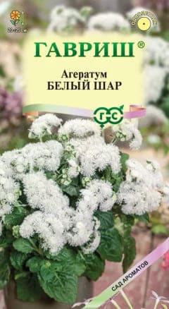 ссс (1)