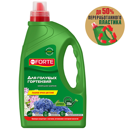 full_BF_kanistra1_5_krupnocvet__2021