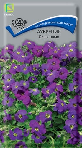 aubrecia_fioletovaya (1)