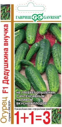 Огурец Дедушкина внучка F1 (1)