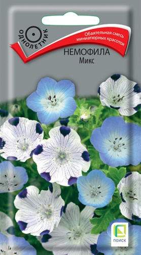 nemofila_mix nemofila_mix