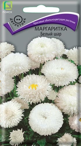 margaritka_bely_shar (1)