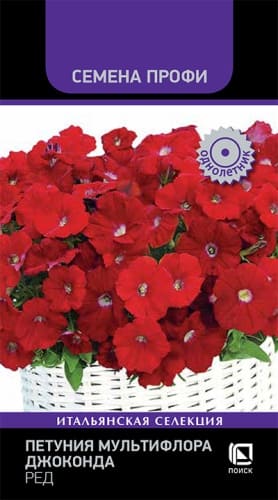 petunia_multiflora_joconda_red (1)