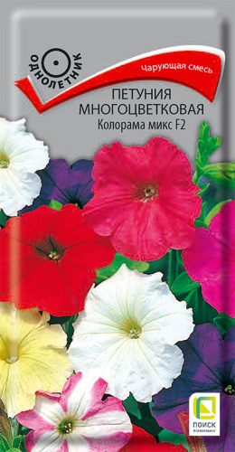 petunia_mnogocvet_kolorama_mix_f2