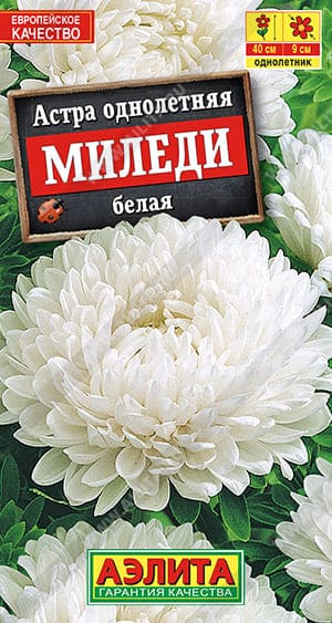 мб (2) (1)