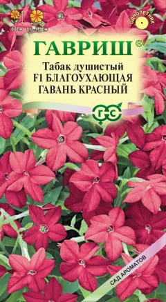Табак душистый Благоухающая гавань Красная (1)