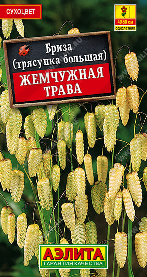 бриза (1)