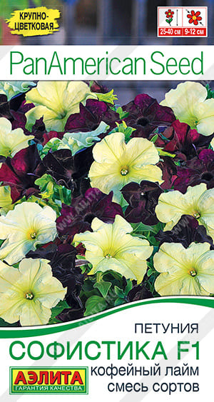 Картинка (1)