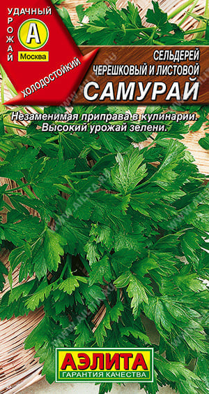 сам (1) (1)