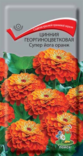 cinnia_georg_super_yoga_orange