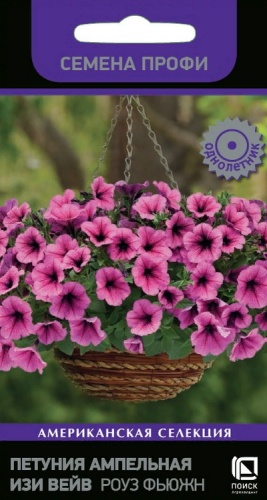 petunia_ampel_f1_shock_wave_kosmo
