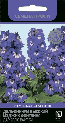 delfinium_visoky_magic_fontains_dark_blue_white_bi