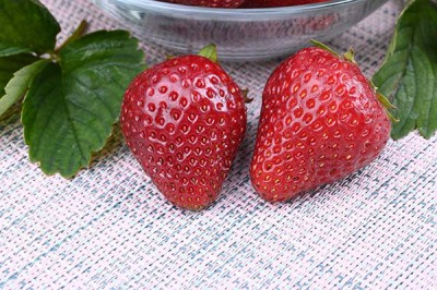 zemlyanika_siria_nf_137